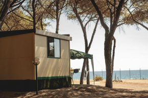 Camping Cammello Grigio